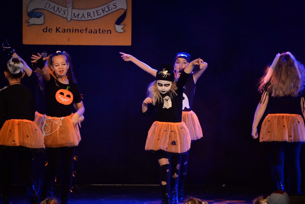 ../Images/Dansmariekefestival 2019 344.jpg